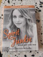 Spirit junkie : resan mot inre frid