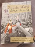 Pilgrimsf&auml;rd f&ouml;r r&auml;ttvis v&auml;rld : m&ouml;ten med kyrkorna i Israel och Palestina