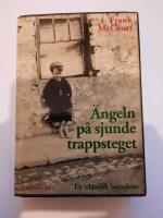 &Auml;ngeln p&aring; sjunde trappsteget : en irl&auml;ndsk barndom