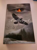 V&auml;gen mot b&aring;lberget roman