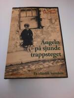 &Auml;ngeln p&aring; sjunde trappsteget : en irl&auml;ndsk barndom