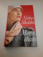 Marys chans : roman