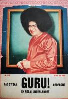 Guru! : en resa i underlandet