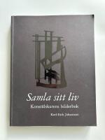 Samla sitt liv  : konst&auml;lskarens bilderbok