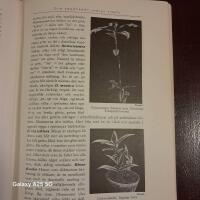 Odlade V&auml;xter 1-2