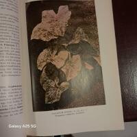 Odlade V&auml;xter 1-2