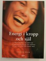 Energi i kropp och sj&auml;l : [om att komma i kontakt med sin egen inre energi n&auml;r man upplever att man inte orkar eller hinner med]