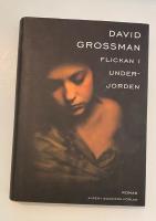 Flickan i underjorden