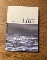 Hav - filosofiska strandhugg