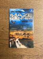 Maze runner. I d&ouml;dens stad