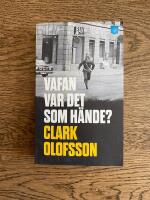 Vafan var det som h&auml;nde?