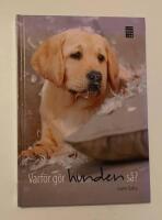 Varf&ouml;r g&ouml;r hunden s&aring;?