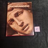 Michelangelo