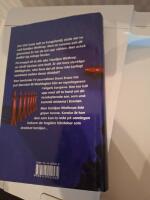 N&auml;r himlen faller ner