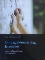 Om jag gl&ouml;mmer dig, Jerusalem : m&ouml;ten mellan judendom