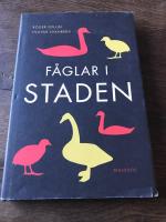 F&aring;glar i staden