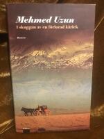 I skuggan av en f&ouml;rlorad k&auml;rlek