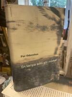 En lampa som g&ouml;r m&ouml;rker