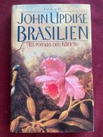 Brasilien-En roman om