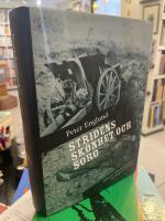 Stridens sk&ouml;nhet och sorg : f&ouml;rsta v&auml;rldskriget i 212 korta kapitel