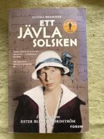Ett j&auml;vla solsken : en biografi om Ester Blenda Nordstr&ouml;m