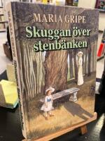 Skuggan &ouml;ver stenb&auml;nken