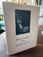 Det speglade ansiktet