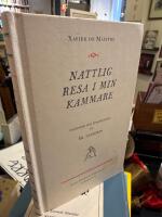 Nattlig resa i min kammare