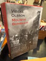 Molnfri bombnatt - roman