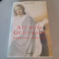 Att m&ouml;ta Gud i kaos : religi&ouml;sa visioner i dagens Sverige