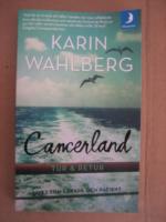 Cancerland - tur & retur : livet som l&auml;kare och patient  (M&aring;npocket)