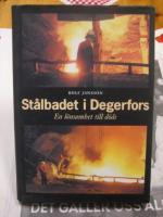 St&aring;lbadet i Degerfors : en l&ouml;nsamhet till d&ouml;ds