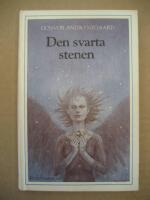 Den svarta stenen : ungdomsroman