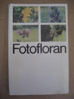 Fotofloran