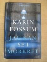 Jag kan se i m&ouml;rkret