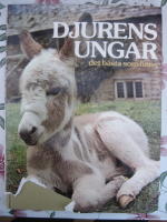Djurens ungar, det b&auml;sta som finns