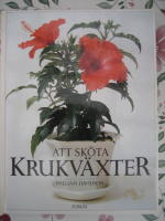Att sk&ouml;ta krukv&auml;xter