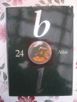 Bonniers lexikon : BL 24