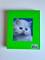 Richard Phillips: Negation of the Universe