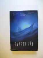 Svarta h&aring;l : teorierna, uppt&auml;ckterna, m&auml;nniskorna
