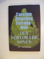 Den f&ouml;rlorade sonen