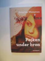 Pojken under bron : Ett fall f&ouml;r Alex Skarp