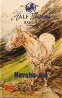 Navaho Joe