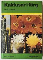 Kaktusar i f&auml;rg