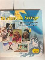 D&aring; stannade Sverige : historierna om Bj&ouml;rn Borg och Ingemar Stenmark