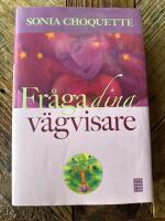 Fr&aring;ga dina v&auml;gvisare