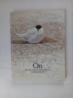 &Ouml;n : bilder fr&aring;n en sandrevel