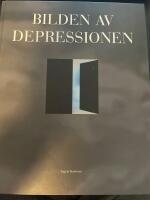 Bilden av depressionen