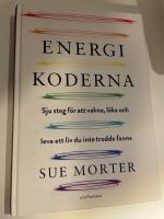 Energikoderna : sju steg f&ouml;r att vakna, l&auml;ka och leva ett liv du inte trodde fanns