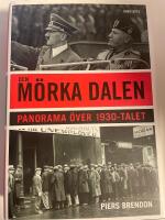 Den m&ouml;rka dalen : Panorama &ouml;ver 1930-talet